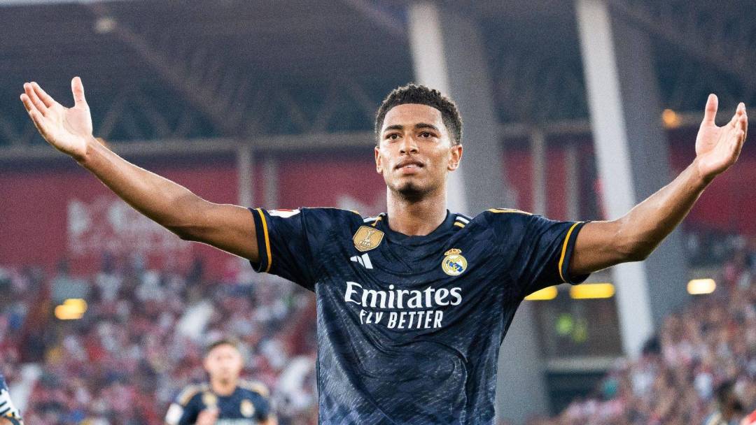 它揭示了球 它揭示了球