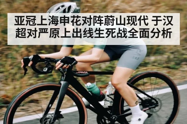 亚冠上海申花对阵蔚山现代 于汉超对严原上出线生死战全面分析